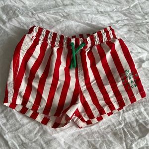 Toddler Stripe Swim Trunks